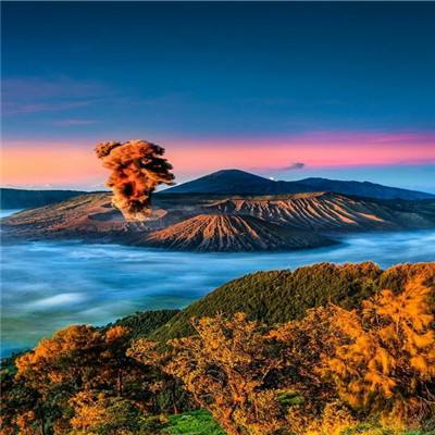 口袋进化日志手游果盘版下载